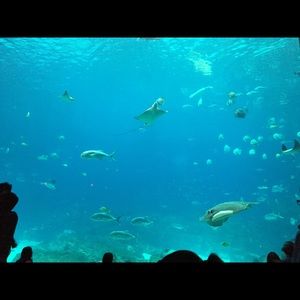 Meet your Posher, Samreen